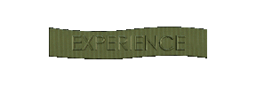 EXP.gif (210454 bytes)